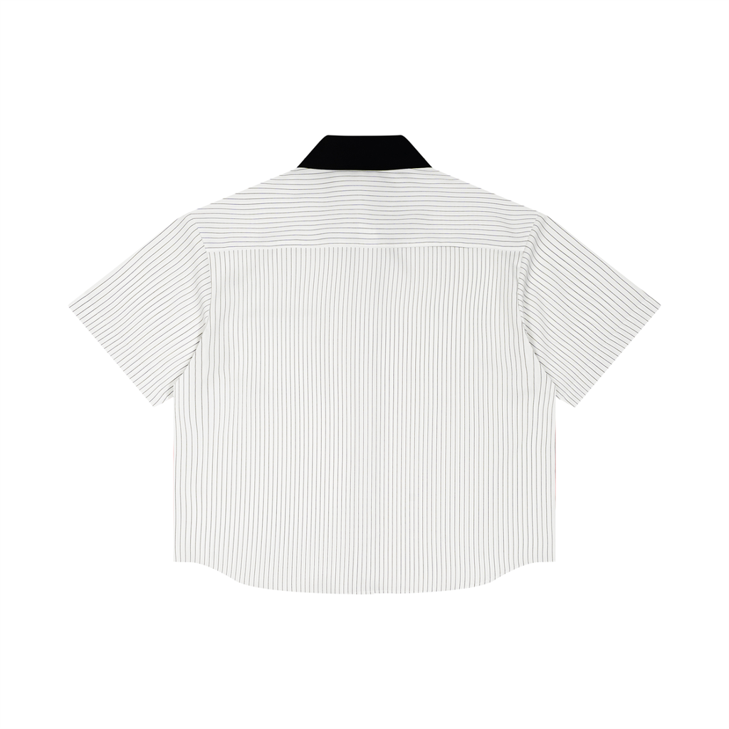 Vedoy,Collective,Core,Casual,basic,colorful,collar,collared,unisex,women,men,sport,gym,idrett